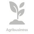 Plans_Agro negocios_1
